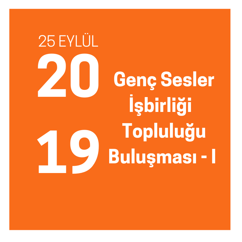 GENÇ SESLER İŞBİRLİĞİ TOPLULUĞU BULUŞMASI – I